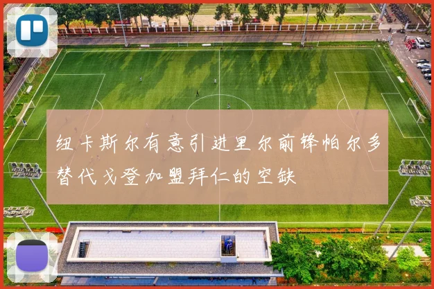 纽卡斯尔有意引进里尔前锋帕尔多替代戈登加盟拜仁的空缺